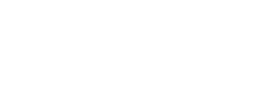 VK Partners Consulting